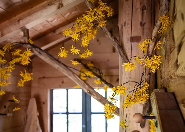 Bruyeres Сен-Морис-Сюр-Мозель